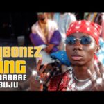 Blaqbonez Bling Video