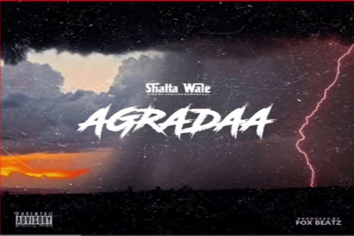 Shatta Wale – Agradaa 696x464 1
