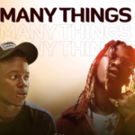 Zhips - Many Things ft Seyi Vibez