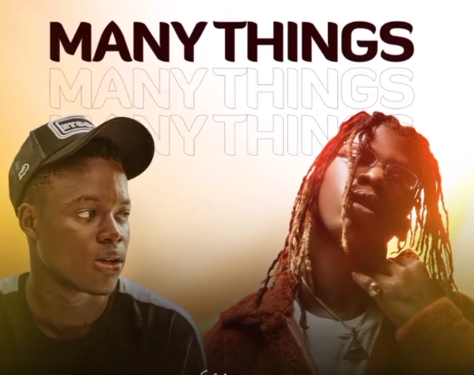 Zhips - Many Things ft Seyi Vibez