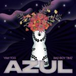 Yaw Tog – Azul Instrumentals ft. Bad Boy Timz