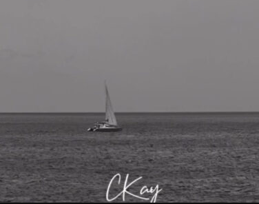 Ckay – Leave Me Alone