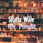 Shatta Wale – Mr Pundit