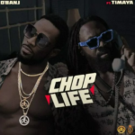 D’banj – Chop Life ft. Timaya
