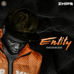 Zhips - Entity (unkankan)