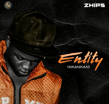 Zhips - Entity (unkankan)