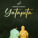 Diamond Platnumz - Yatapita Instrumental