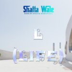 Shatta wale - L (Life)