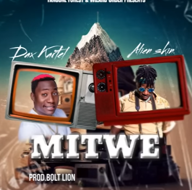 Alien Skin Official - Mitwe Ft Dax Kartel