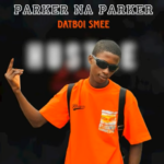 Datboi Smee - Parker Na Parker