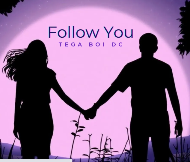 Tega Boi Dc – Follow You (Speed Up)