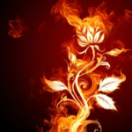 Omah Lay - Give Us Fire, Supernatural